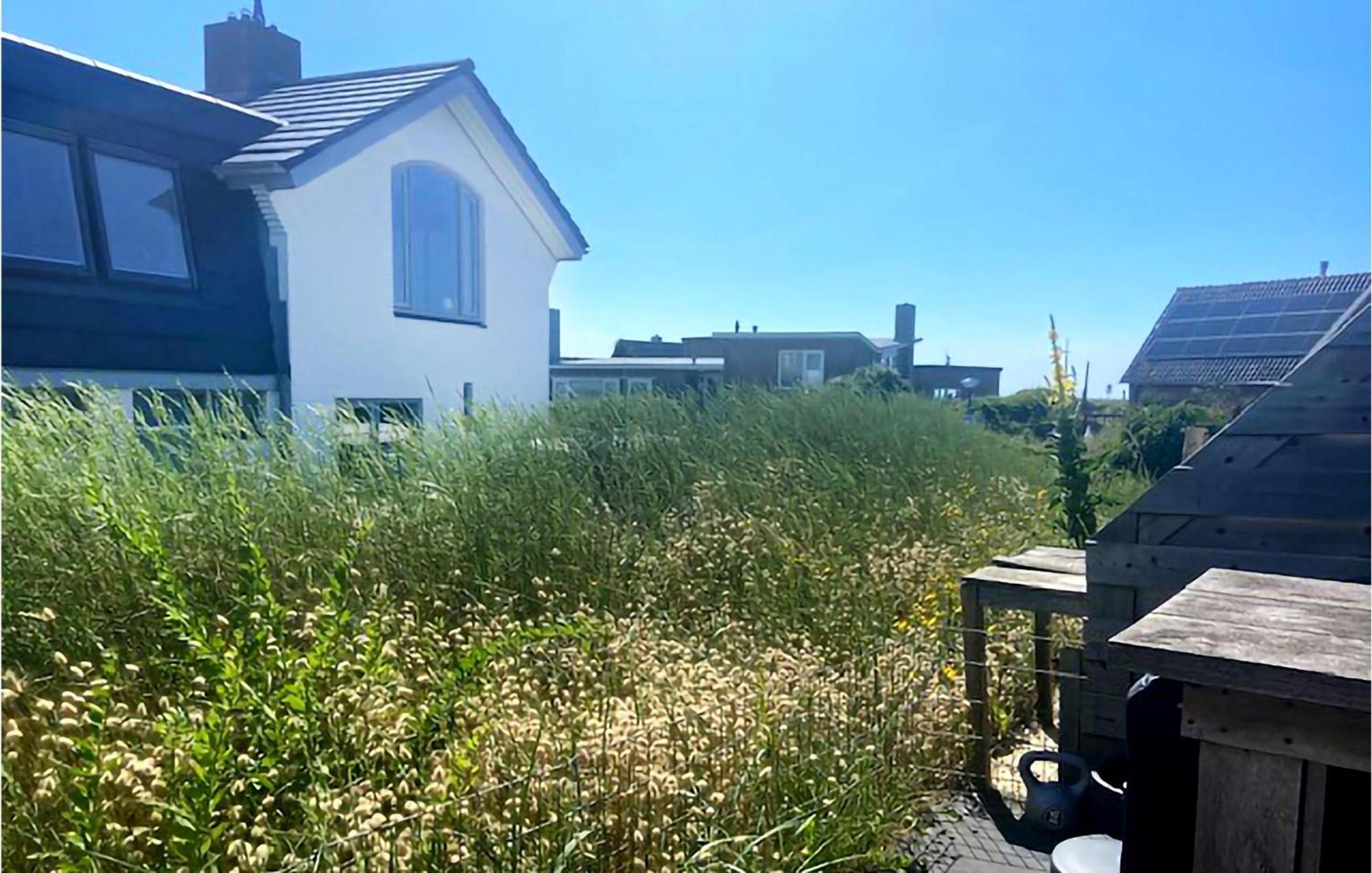 De Duinparel Lägenhet Bergen aan Zee Exteriör bild